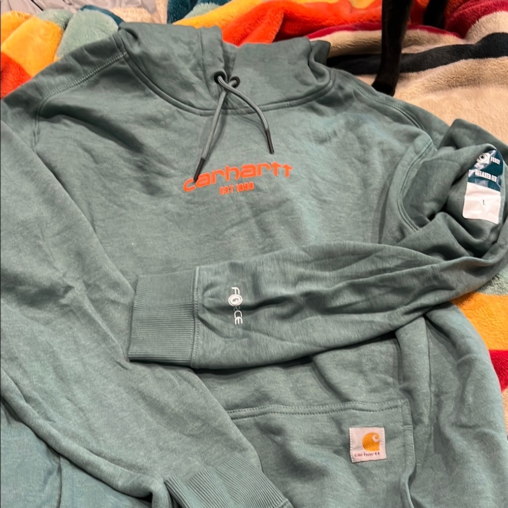 Carhartt Green Men's Hoodie
